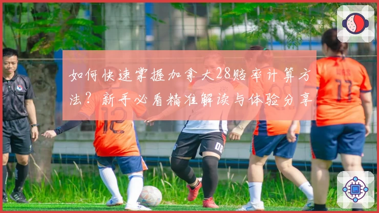 如何快速掌握加拿大28赔率计算方法?新手必看精准解读与体验分享