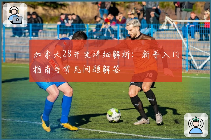 加拿大28开奖详细解析：新手入门指南与常见问题解答