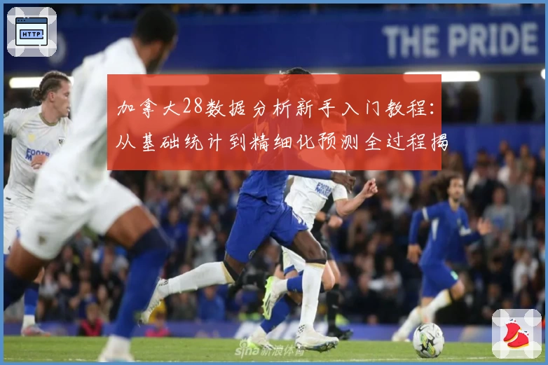 加拿大28数据分析新手入门教程：从基础统计到精细化预测全过程揭秘