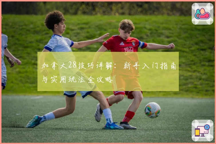 加拿大28技巧详解:新手入门指南与实用玩法全攻略