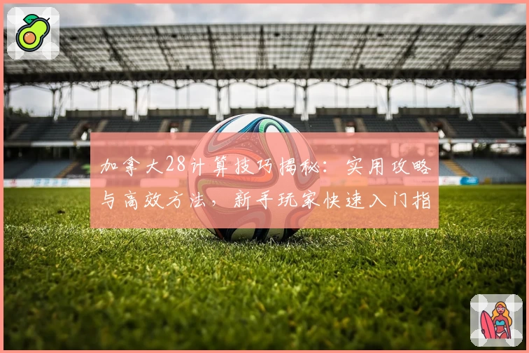 加拿大28计算技巧揭秘：实用攻略与高效方法，新手玩家快速入门指南