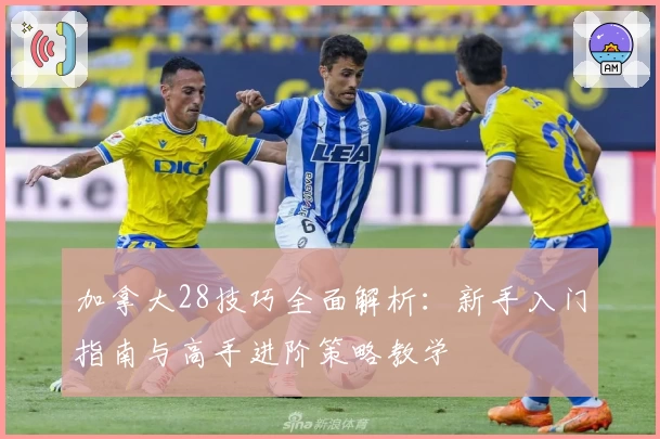 加拿大28技巧全面解析:新手入门指南与高手进阶策略教学