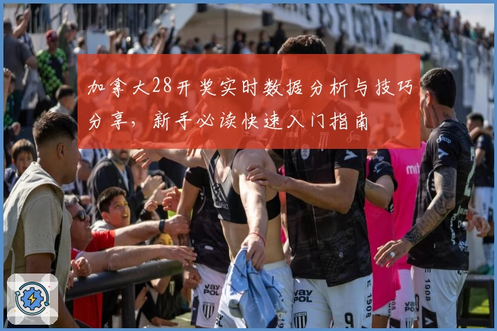 加拿大28开奖实时数据分析与技巧分享，新手必读快速入门指南