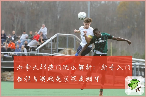 加拿大28热门玩法解析：新手入门教程与游戏亮点深度测评