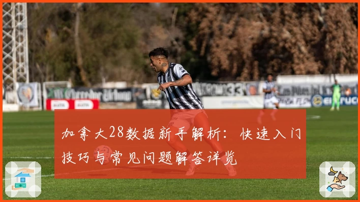 加拿大28数据新手解析：快速入门技巧与常见问题解答详览