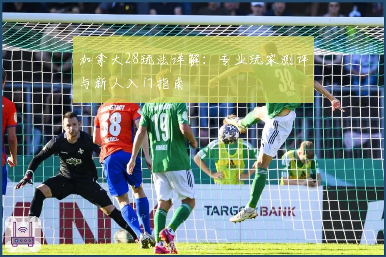 加拿大28玩法详解：专业玩家测评与新人入门指南