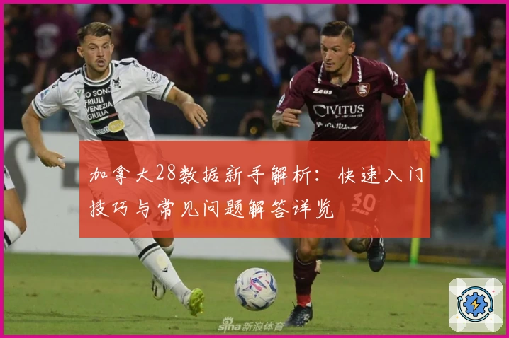 加拿大28数据新手解析：快速入门技巧与常见问题解答详览