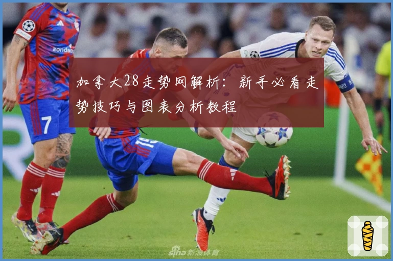 加拿大28走势网解析：新手必看走势技巧与图表分析教程