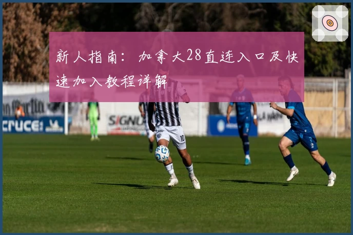 新人指南：加拿大28直连入口及快速加入教程详解