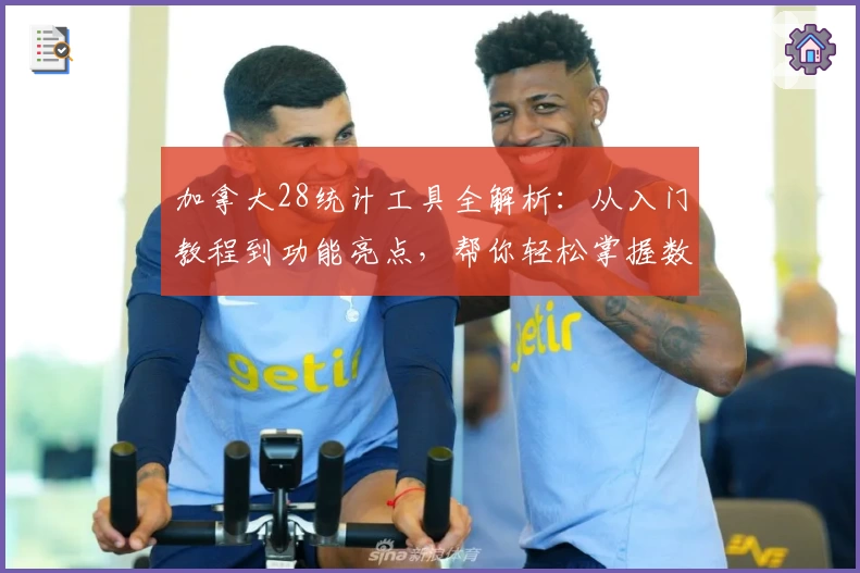 加拿大28统计工具全解析：从入门教程到功能亮点，帮你轻松掌握数据分析技巧