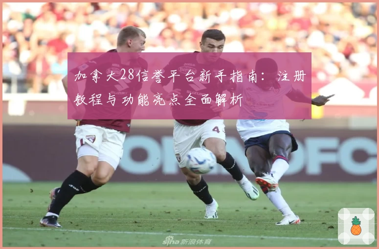 加拿大28信誉平台新手指南：注册教程与功能亮点全面解析