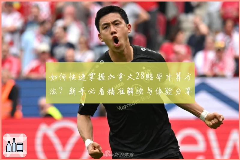 如何快速掌握加拿大28赔率计算方法?新手必看精准解读与体验分享