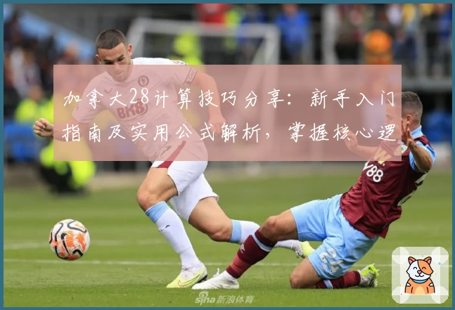 加拿大28计算技巧分享：新手入门指南及实用公式解析，掌握核心逻辑轻松上手