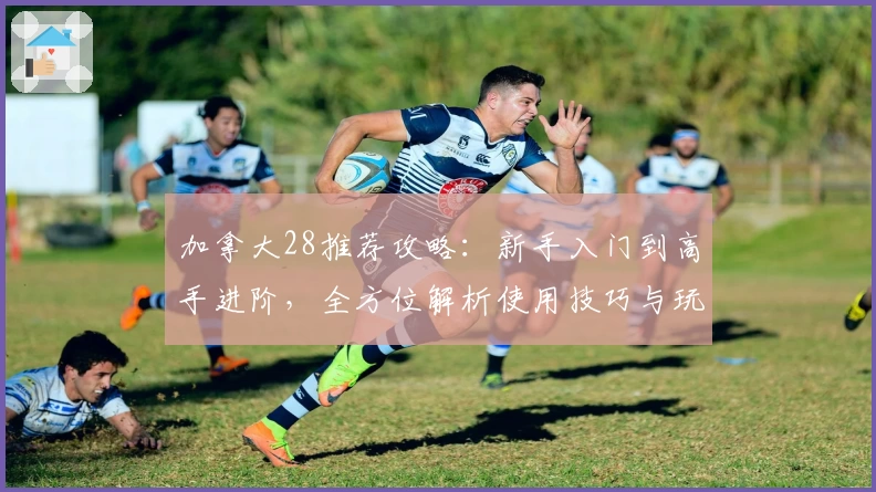 加拿大28推荐攻略：新手入门到高手进阶，全方位解析使用技巧与玩法诀窍