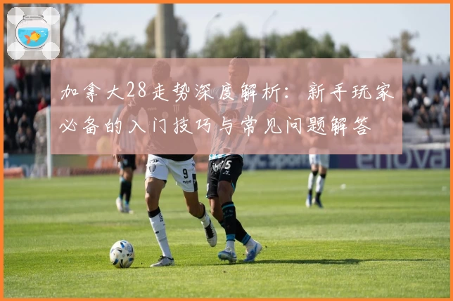 加拿大28走势深度解析:新手玩家必备的入门技巧与常见问题解答