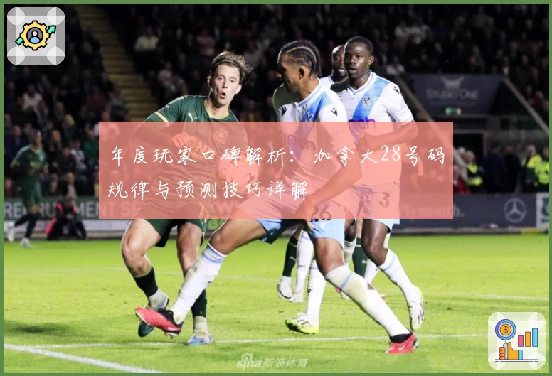 年度玩家口碑解析：加拿大28号码规律与预测技巧详解