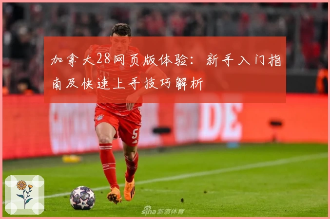 加拿大28网页版体验：新手入门指南及快速上手技巧解析