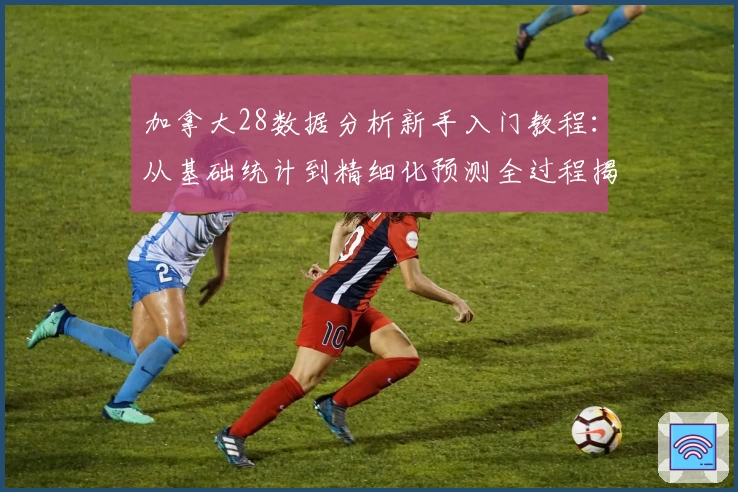 加拿大28数据分析新手入门教程：从基础统计到精细化预测全过程揭秘