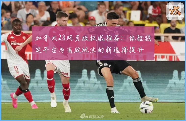 加拿大28网页版权威推荐:体验稳定平台与高效玩法的新选择提升
