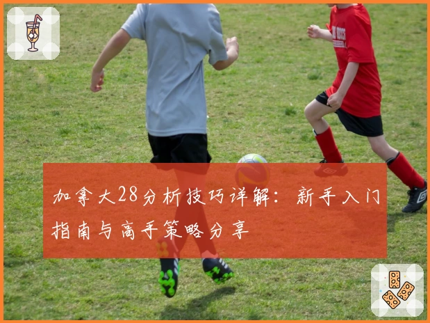 加拿大28分析技巧详解:新手入门指南与高手策略分享