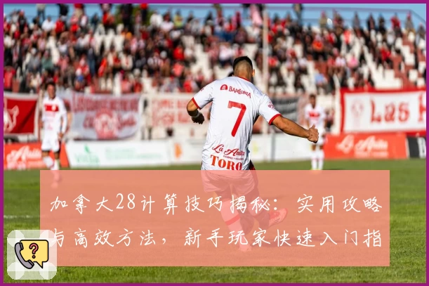 加拿大28计算技巧揭秘：实用攻略与高效方法，新手玩家快速入门指南