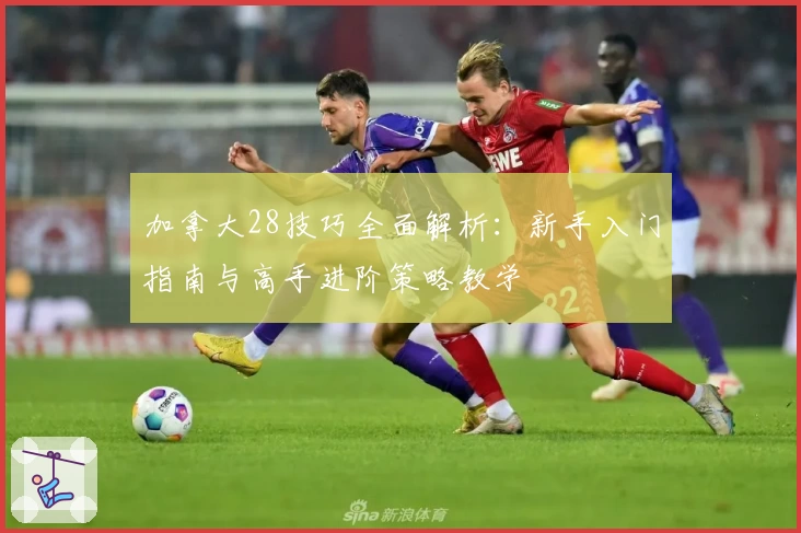 加拿大28技巧全面解析:新手入门指南与高手进阶策略教学