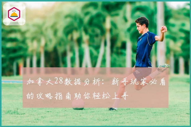 加拿大28数据分析：新手玩家必看的攻略指南助你轻松上手