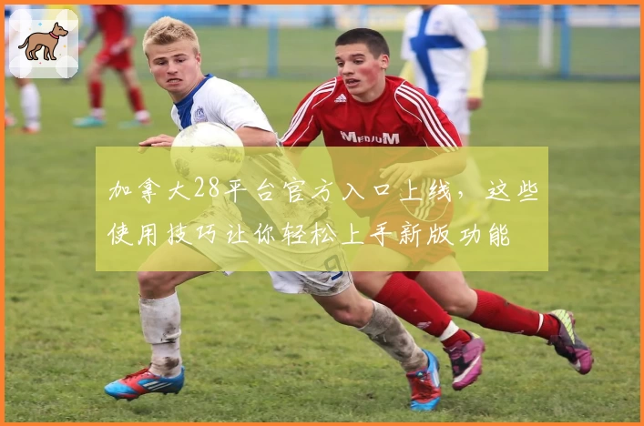 加拿大28平台官方入口上线，这些使用技巧让你轻松上手新版功能