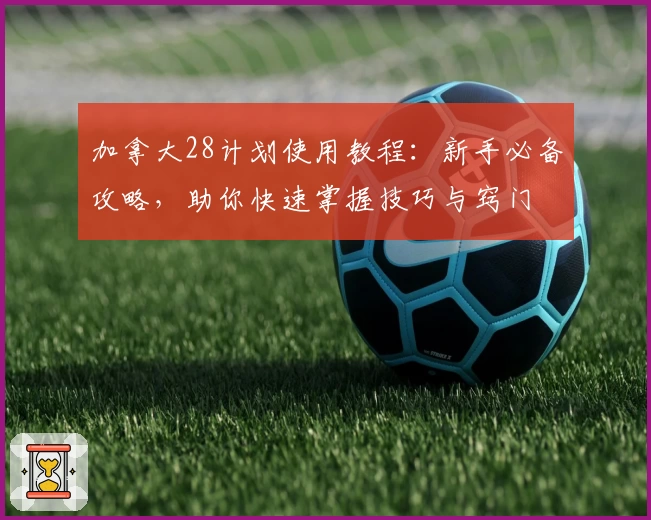 加拿大28计划使用教程:新手必备攻略,助你快速掌握技巧与窍门