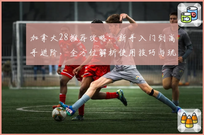 加拿大28推荐攻略：新手入门到高手进阶，全方位解析使用技巧与玩法诀窍