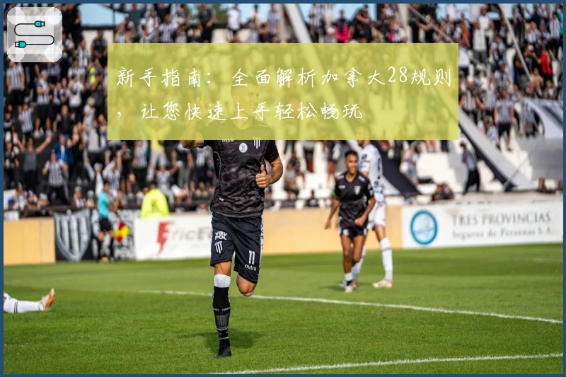 新手指南：全面解析加拿大28规则，让您快速上手轻松畅玩