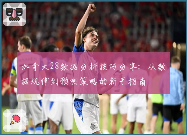 加拿大28数据分析技巧分享:从数据规律到预测策略的新手指南