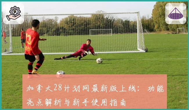 加拿大28计划网最新版上线：功能亮点解析与新手使用指南