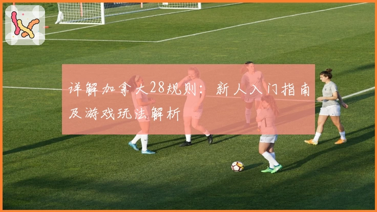 详解加拿大28规则：新人入门指南及游戏玩法解析