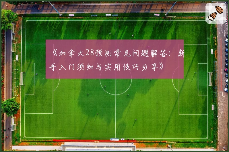 《加拿大28预测常见问题解答：新手入门须知与实用技巧分享》