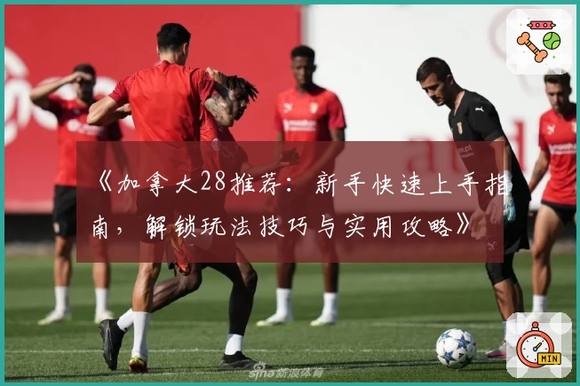 《加拿大28推荐：新手快速上手指南，解锁玩法技巧与实用攻略》