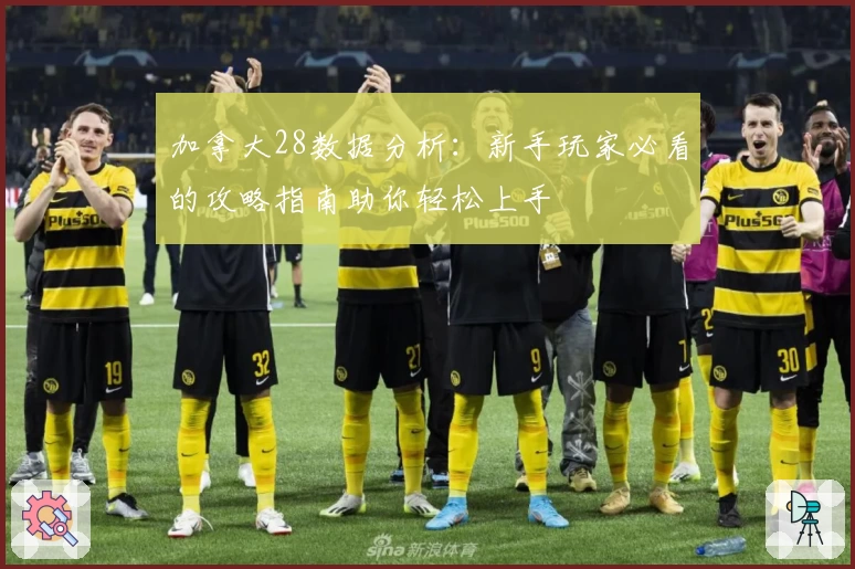 加拿大28数据分析：新手玩家必看的攻略指南助你轻松上手