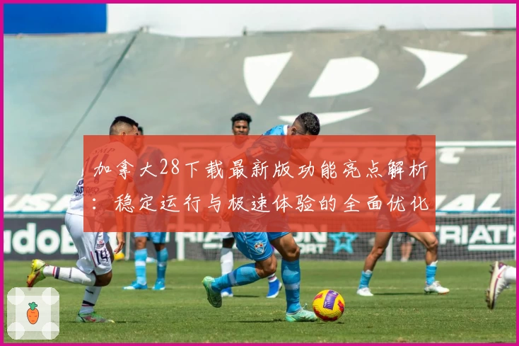 加拿大28下载最新版功能亮点解析:稳定运行与极速体验的全面优化