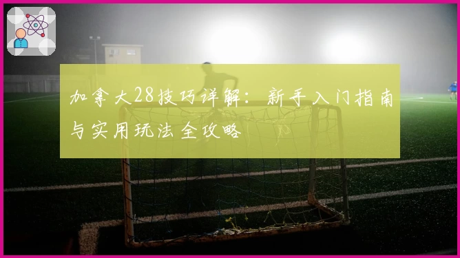 加拿大28技巧详解:新手入门指南与实用玩法全攻略