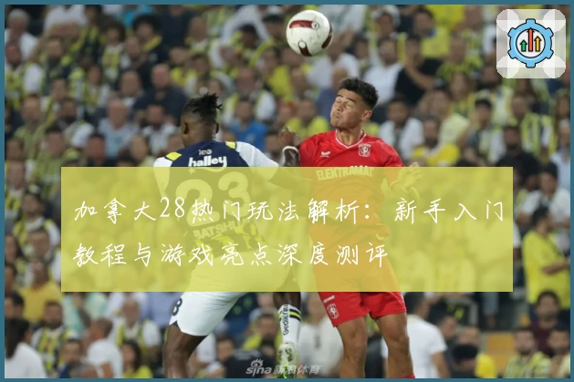 加拿大28热门玩法解析：新手入门教程与游戏亮点深度测评