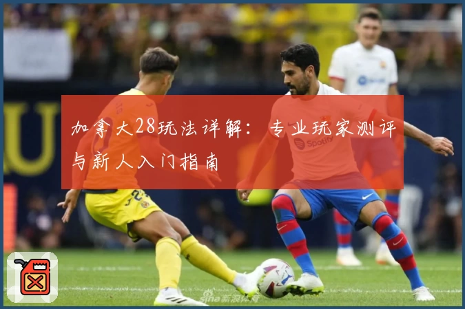 加拿大28玩法详解：专业玩家测评与新人入门指南