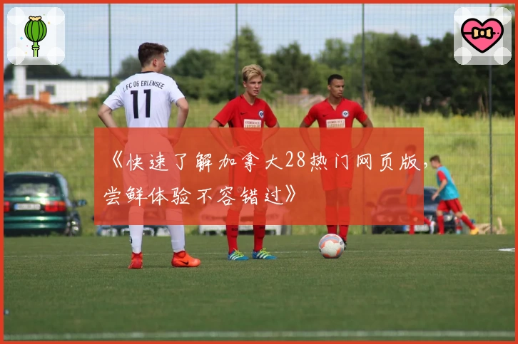 《快速了解加拿大28热门网页版，尝鲜体验不容错过》