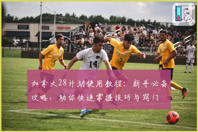 加拿大28计划使用教程:新手必备攻略,助你快速掌握技巧与窍门