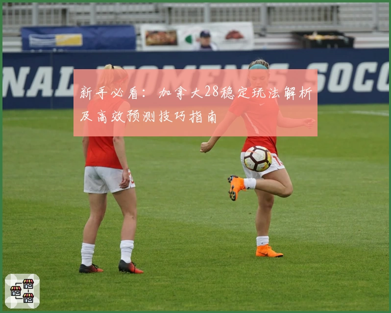 新手必看：加拿大28稳定玩法解析及高效预测技巧指南