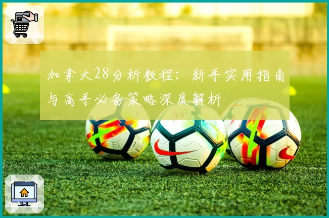 加拿大28分析教程：新手实用指南与高手必备策略深度解析