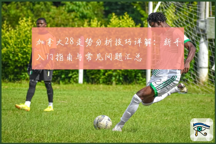 加拿大28走势分析技巧详解：新手入门指南与常见问题汇总