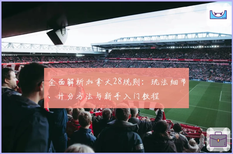 全面解析加拿大28规则：玩法细节、计分方法与新手入门教程