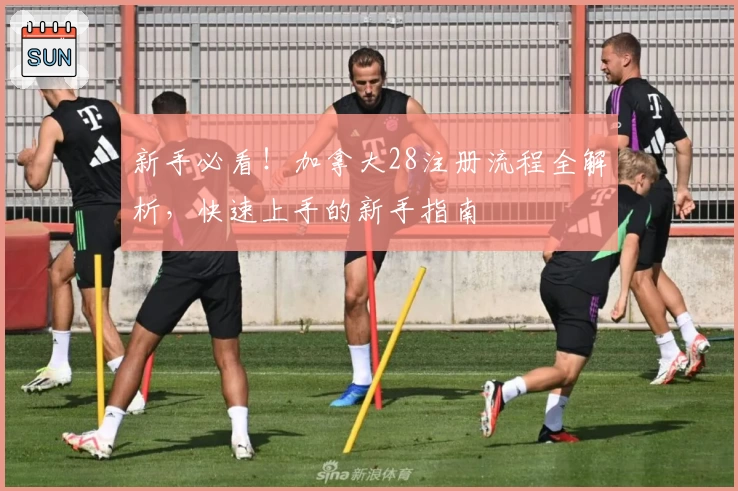 新手必看!加拿大28注册流程全解析,快速上手的新手指南