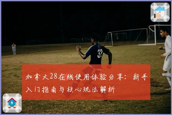 加拿大28在线使用体验分享：新手入门指南与核心玩法解析