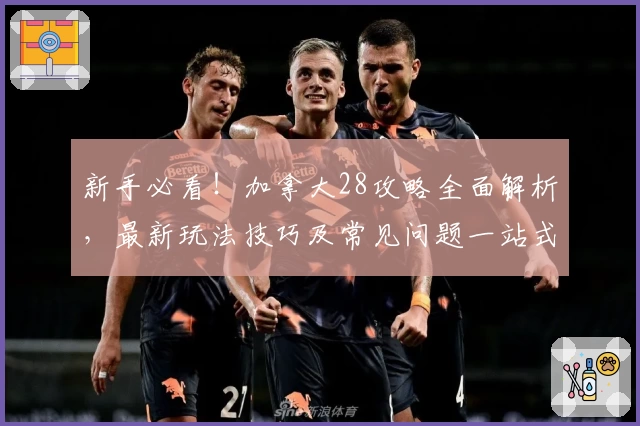 新手必看！加拿大28攻略全面解析，最新玩法技巧及常见问题一站式解答